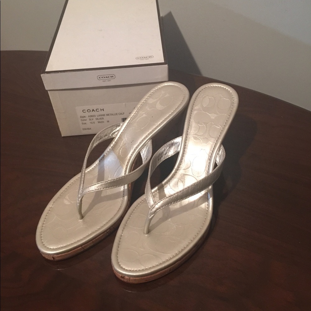 Coach Women’s Lannie Metallic Calf Flip Flop S10 M